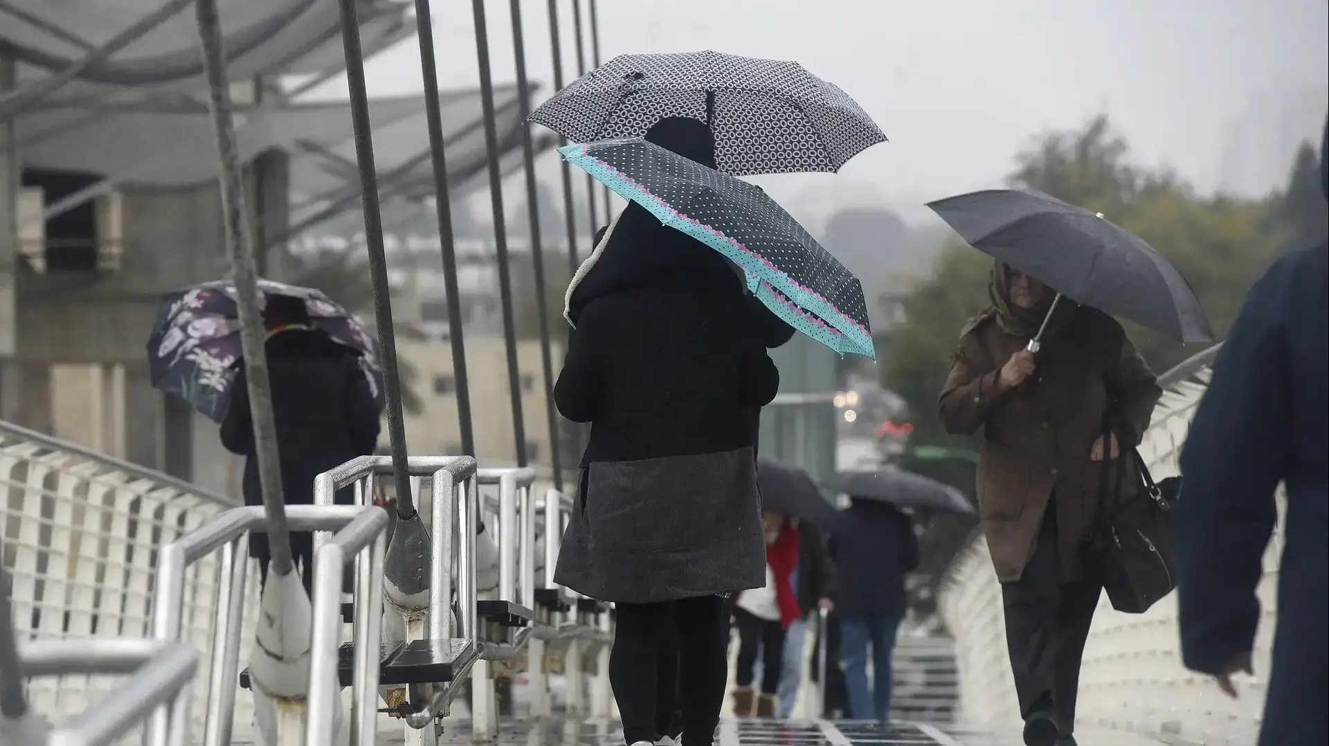 מזג אוויר חורפי בפתח תקווה, 9 בינואר 2019 מזג אוויר חורפי בפתח תקווה, 9 בינואר 2019