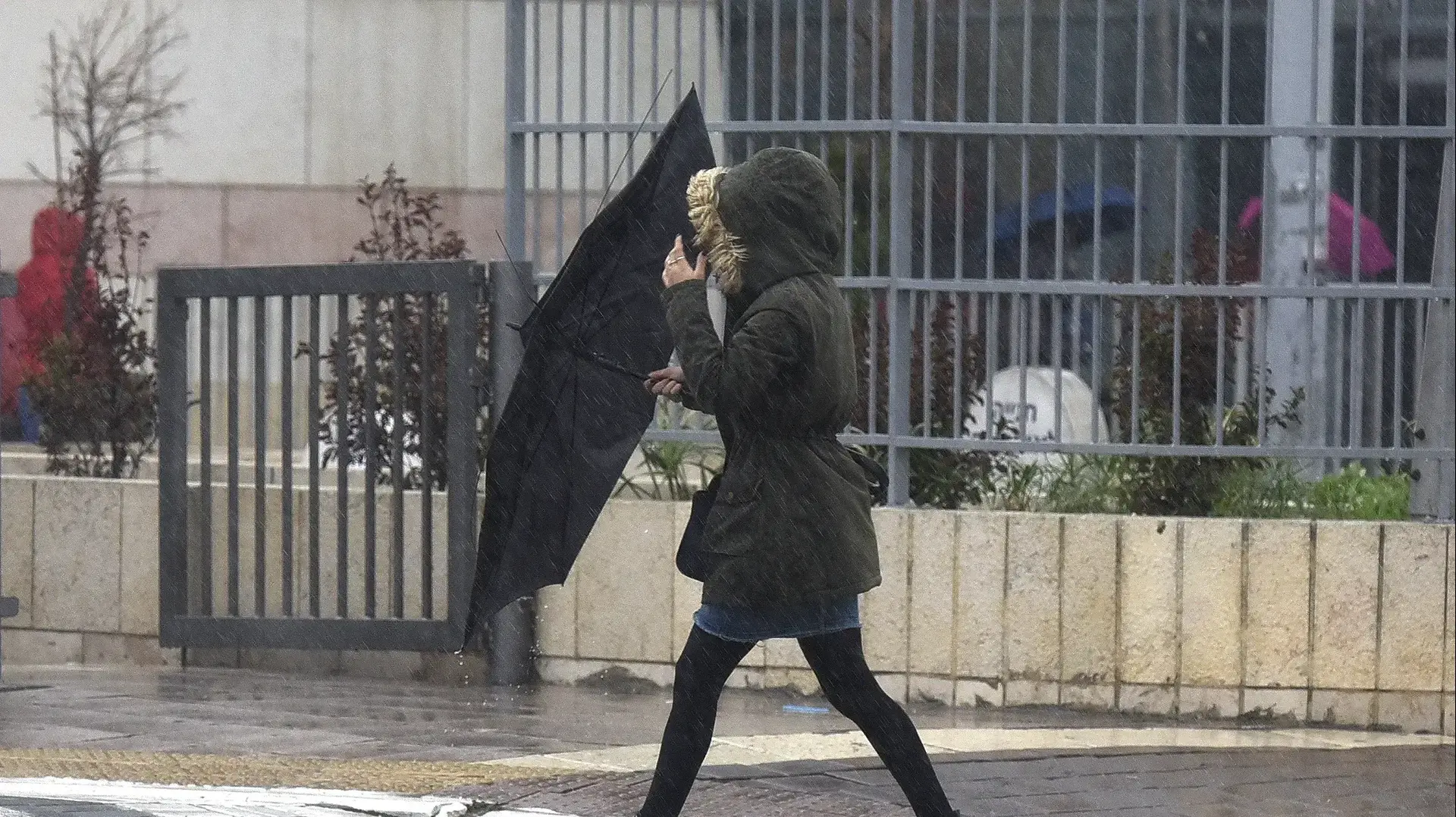 מזג אוויר חורפי בפתח תקווה, 9 בינואר 2019 מזג אוויר חורפי בפתח תקווה, 9 בינואר 2019