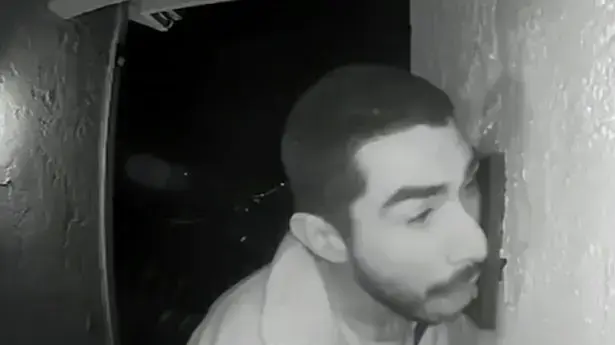 מלקק פעמון של דלת מלקק פעמון של דלת