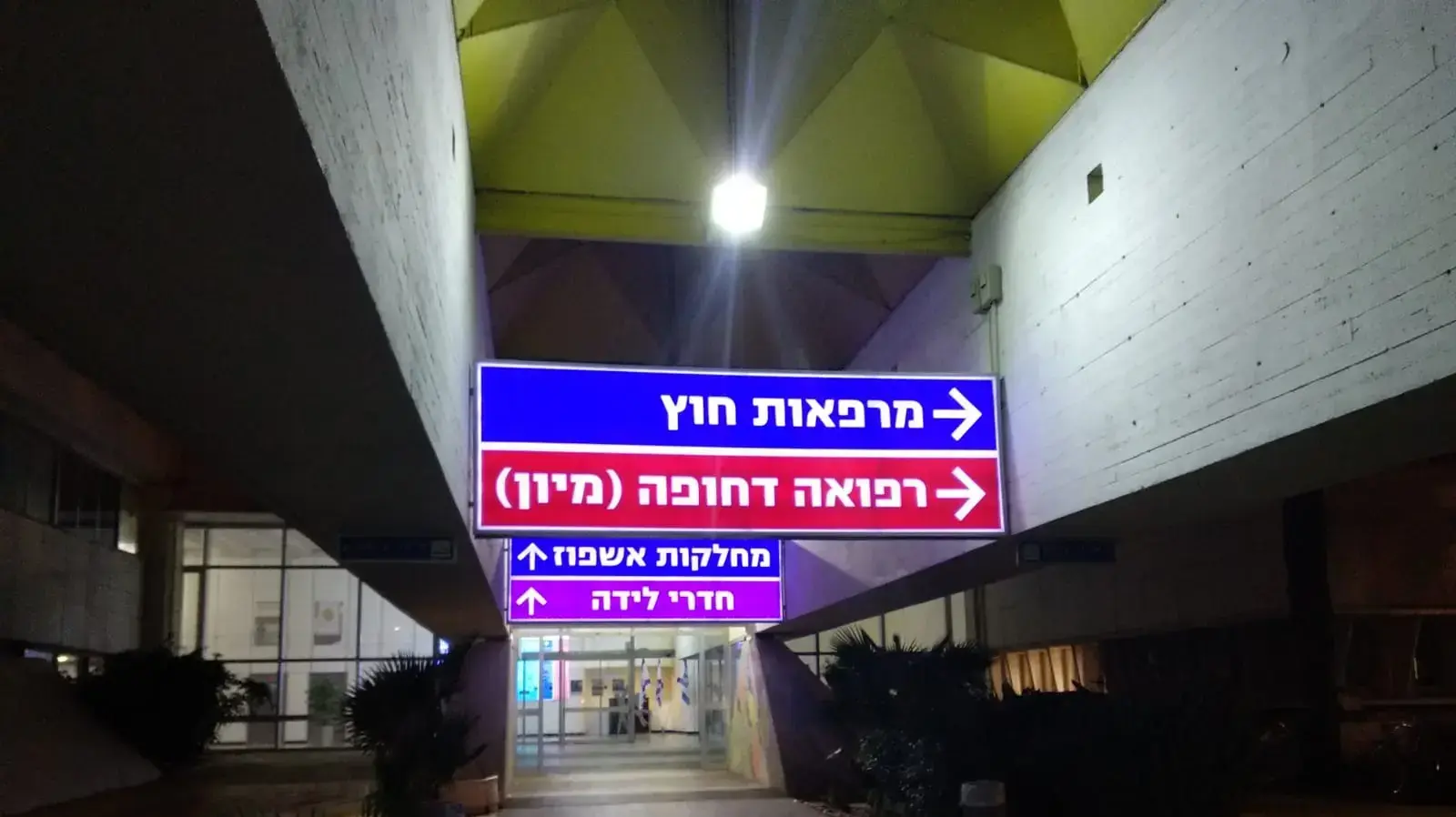בית חולים וולפסון 13 בינואר 2019 בית חולים וולפסון 13 בינואר 2019