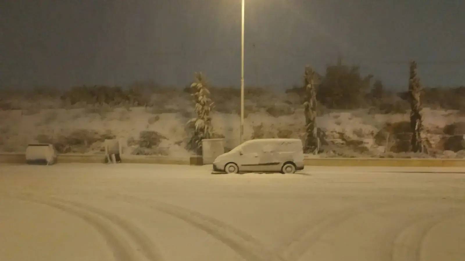 שלג באלון שבות, 16 בינואר 2019 שלג באלון שבות, 16 בינואר 2019