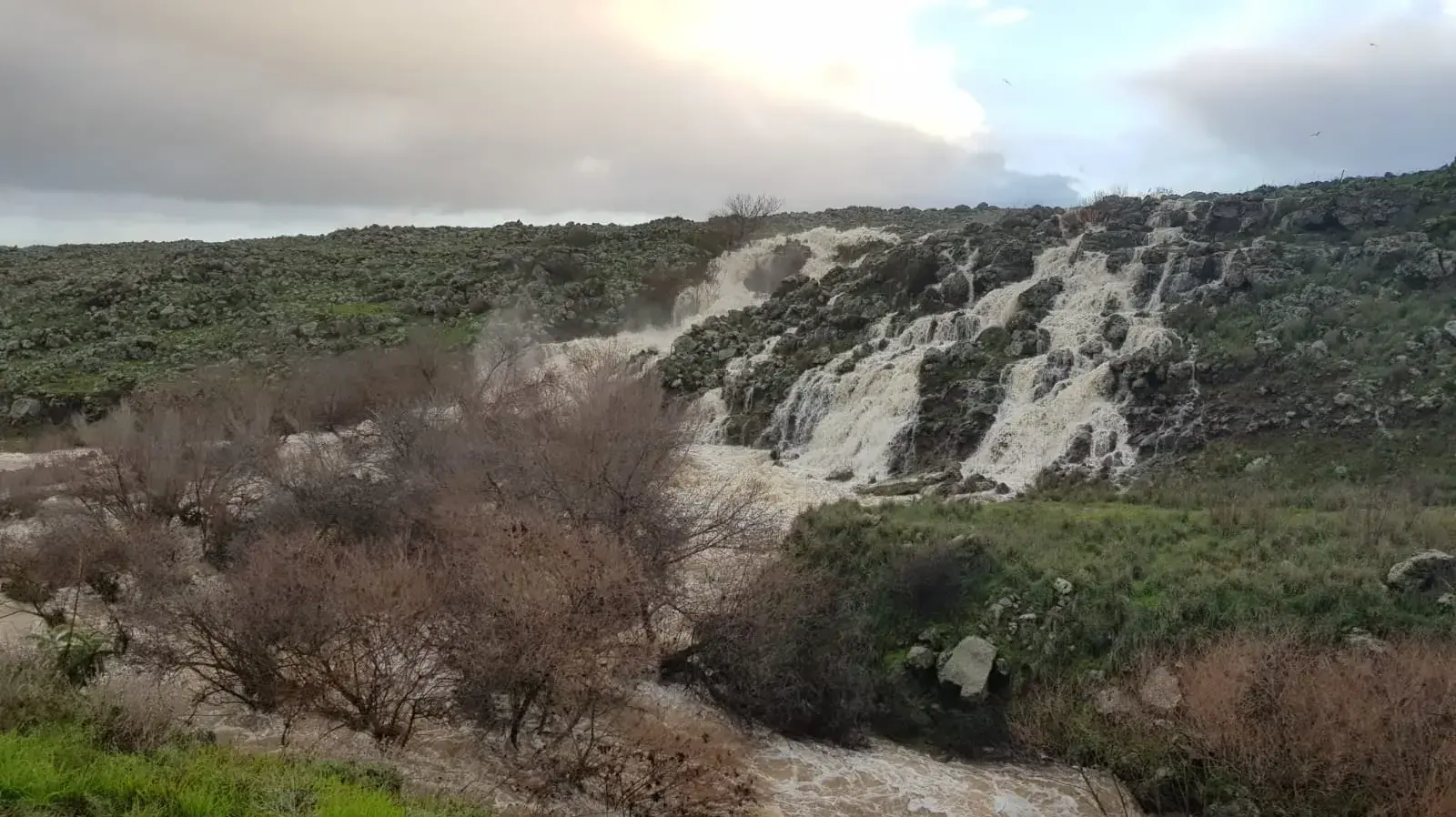 זרימות בגולן 18 לינואר 2019 זרימות בגולן 18 לינואר 2019