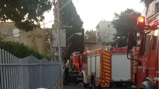 שריפה בנשר 19 בינואר 2019 שריפה בנשר 19 בינואר 2019