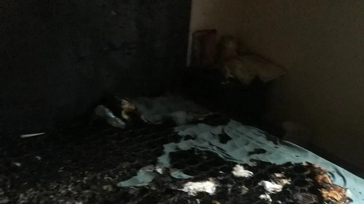 הכלב מאסטר הציל משפחה משריפה ביבנאל הכלב מאסטר הציל משפחה משריפה ביבנאל