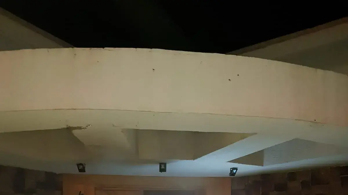 הכלב מאסטר הציל משפחה משריפה ביבנאל הכלב מאסטר הציל משפחה משריפה ביבנאל