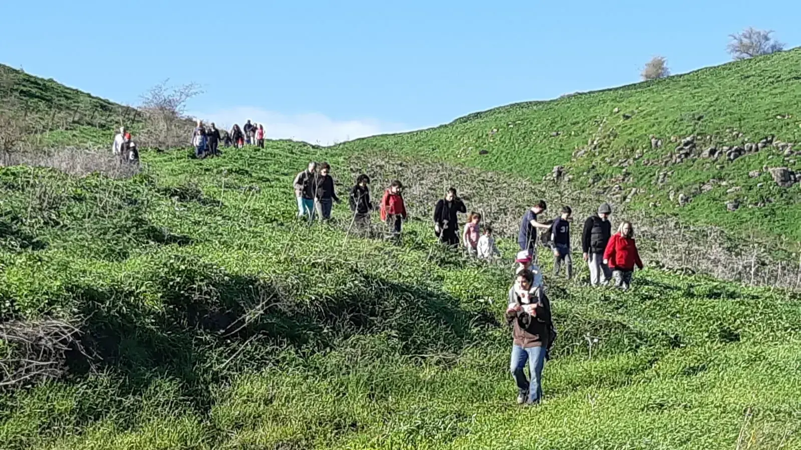 שמורת נחל תבור 19 בינואר 2019 שמורת נחל תבור 19 בינואר 2019