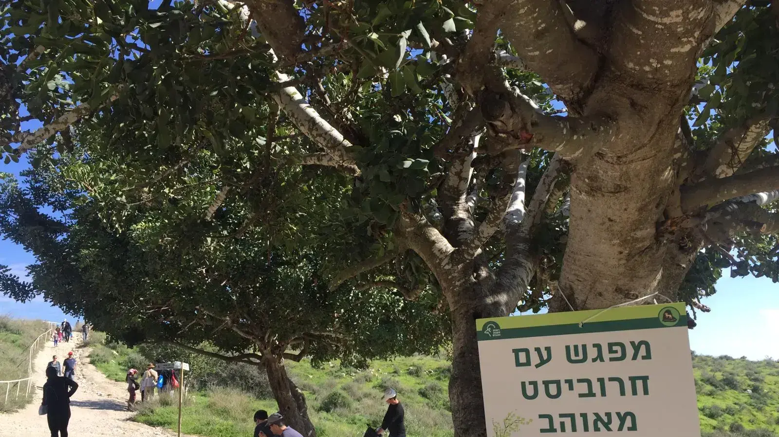 בית גוברין 19 בינואר 2019 בית גוברין 19 בינואר 2019