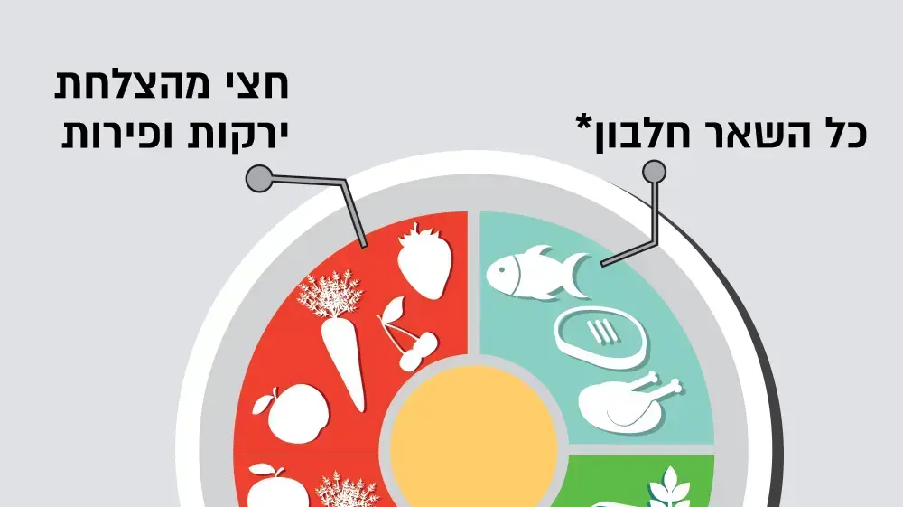 אינוגרפיקה הצלחת המושלמת אינוגרפיקה הצלחת המושלמת