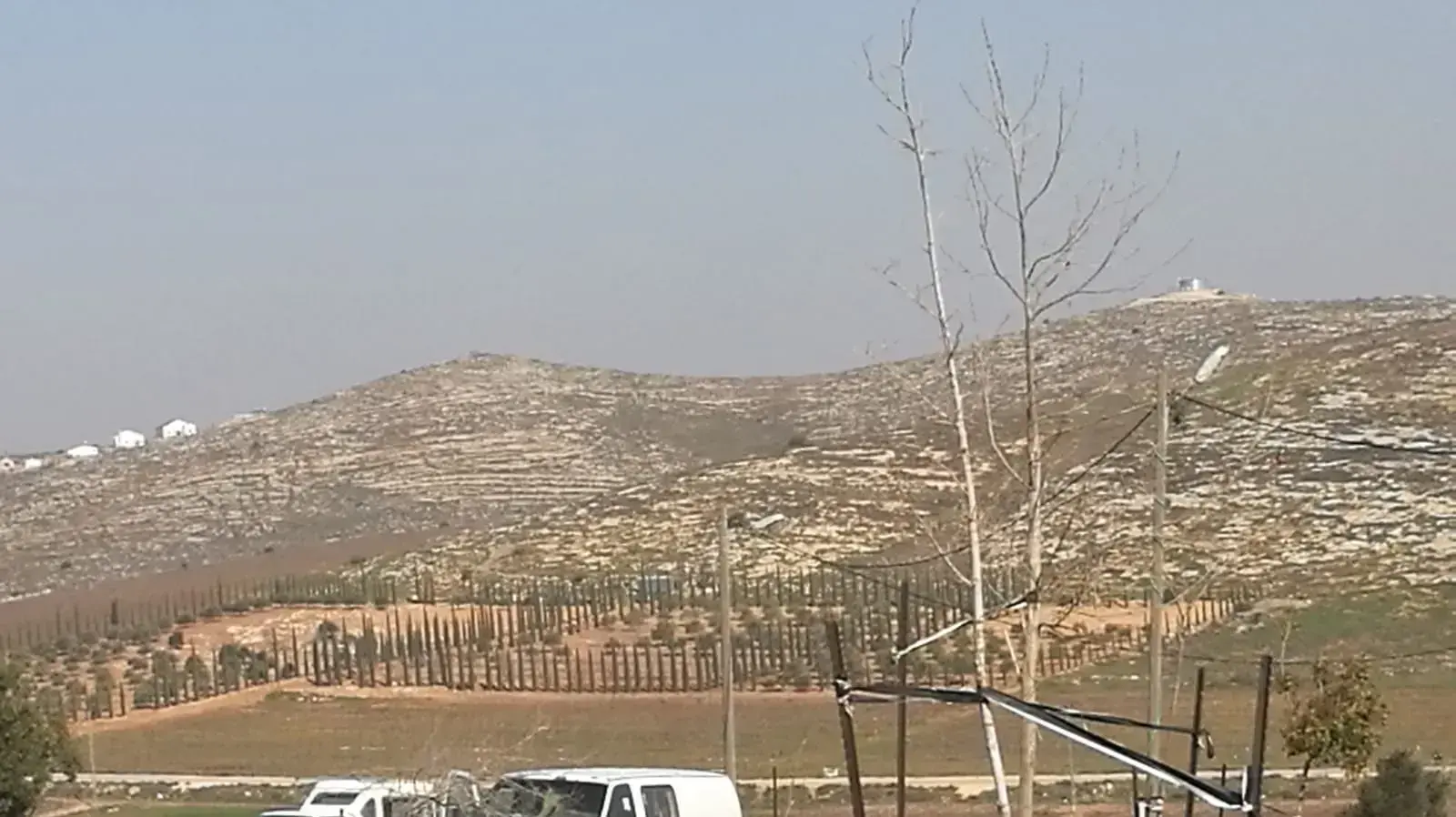 עדי עד