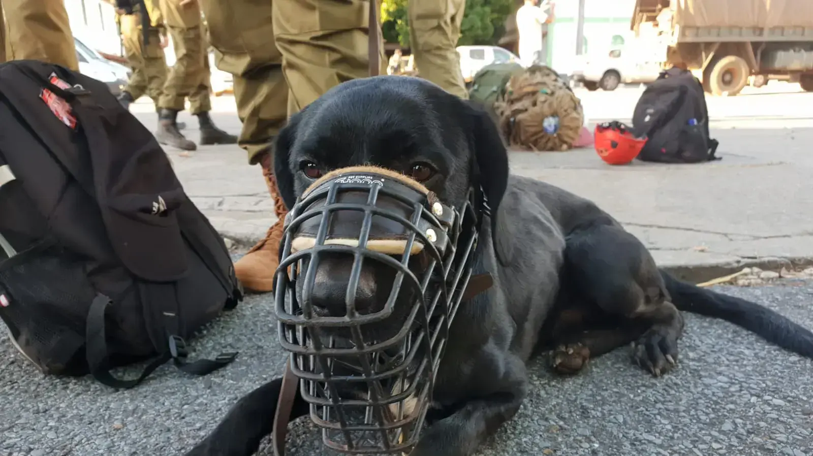 יחידת עוקץ בניסיונות החילוץ בברזיל 31 בינואר 2019 יחידת עוקץ בניסיונות החילוץ בברזיל 31 בינואר 2019