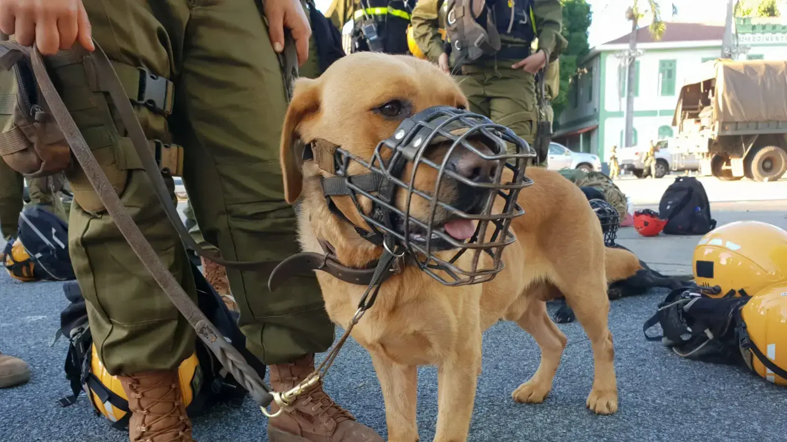 יחידת עוקץ בניסיונות החילוץ בברזיל 31 בינואר 2019 יחידת עוקץ בניסיונות החילוץ בברזיל 31 בינואר 2019
