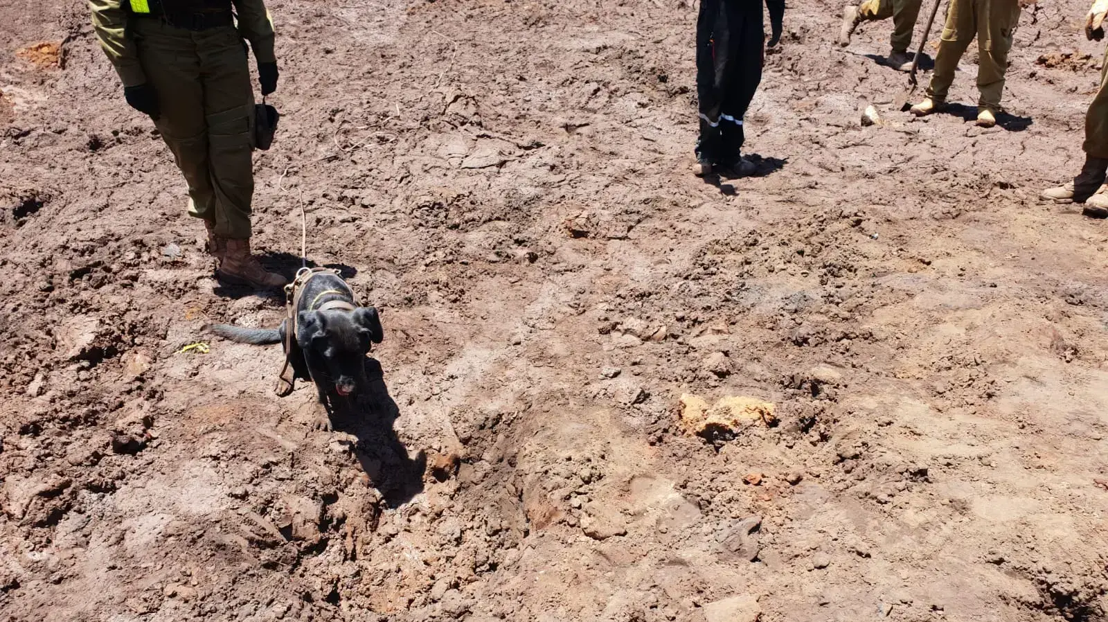 יחידת עוקץ בניסיונות החילוץ בברזיל 31 בינואר 2019 יחידת עוקץ בניסיונות החילוץ בברזיל 31 בינואר 2019