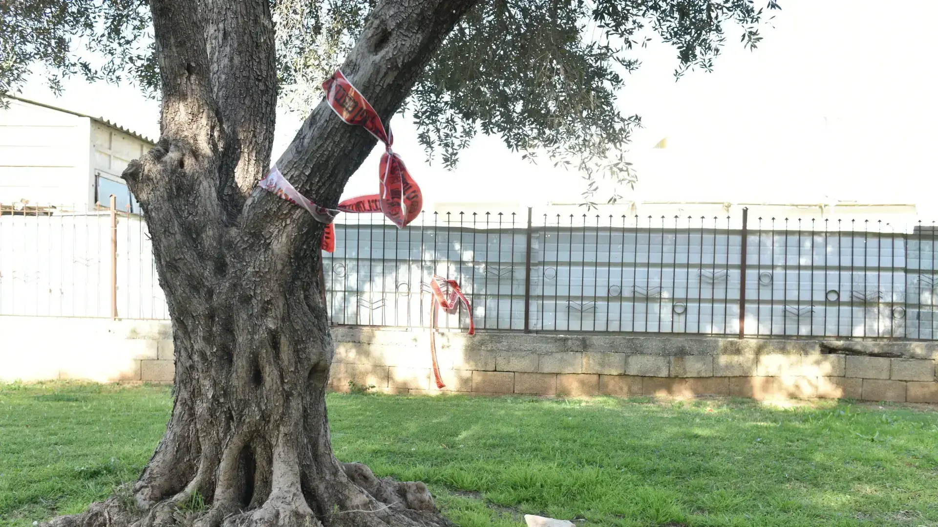 זירת רצח ביבנה, בעל ניסה לרצוח את אשתו ותלה עצמו על עץ, 5 בפברואר 2019 זירת רצח ביבנה, בעל ניסה לרצוח את אשתו ותלה עצמו על עץ, 5 בפברואר 2019