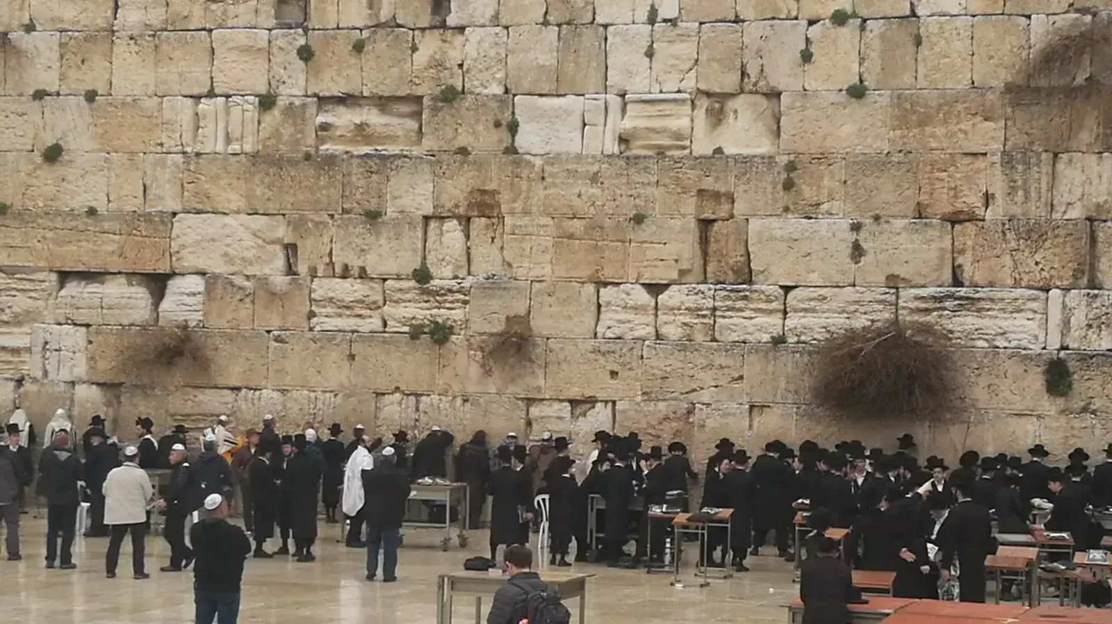 מזג אויר חורפי בירושלים, 7 בפברואר 2019 מזג אויר חורפי בירושלים, 7 בפברואר 2019