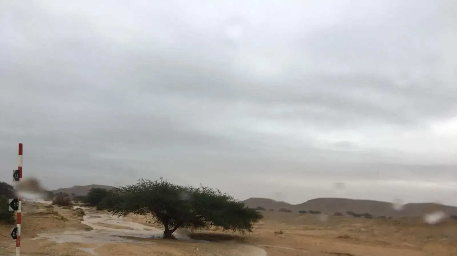 נחל נמיה- הערבה התיכונה, 7 בפברואר 2019 נחל נמיה- הערבה התיכונה, 7 בפברואר 2019