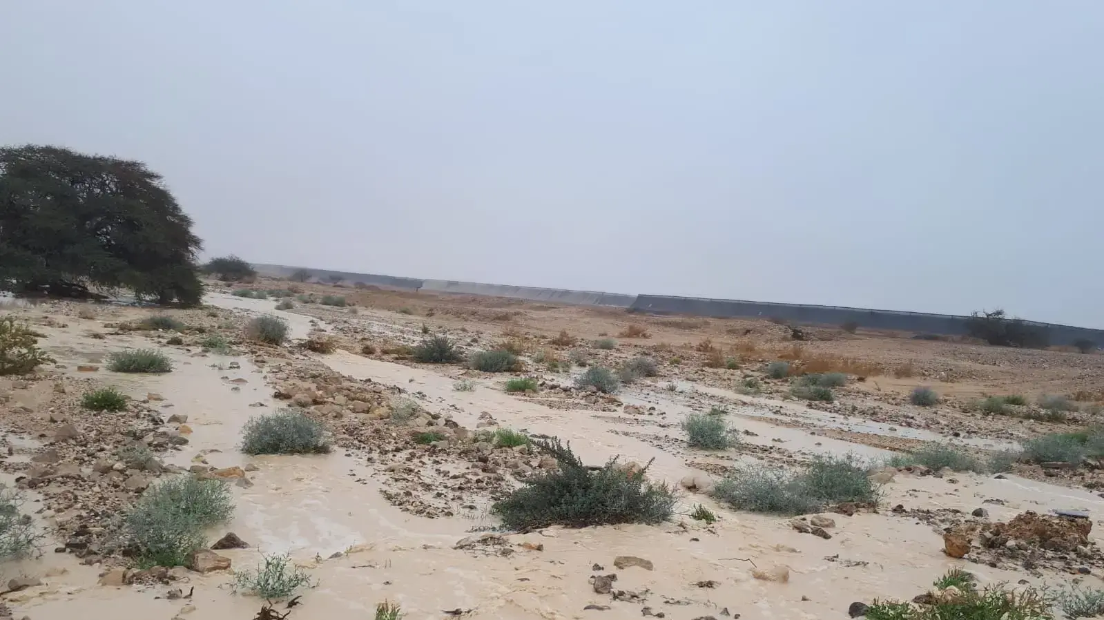 נחל שלהב, 7 בפברואר 2019 נחל שלהב, 7 בפברואר 2019