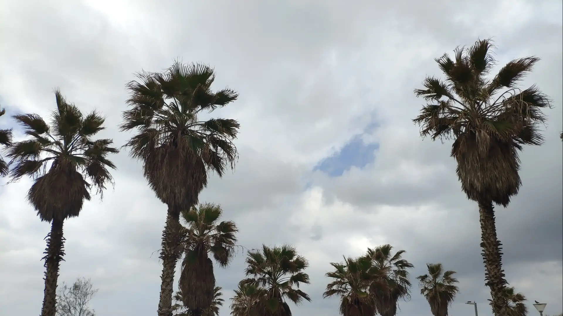 מזג אויר חורפי בחוף הים של תל אביב, 7 בפברואר 2019 מזג אויר חורפי בחוף הים של תל אביב, 7 בפברואר 2019