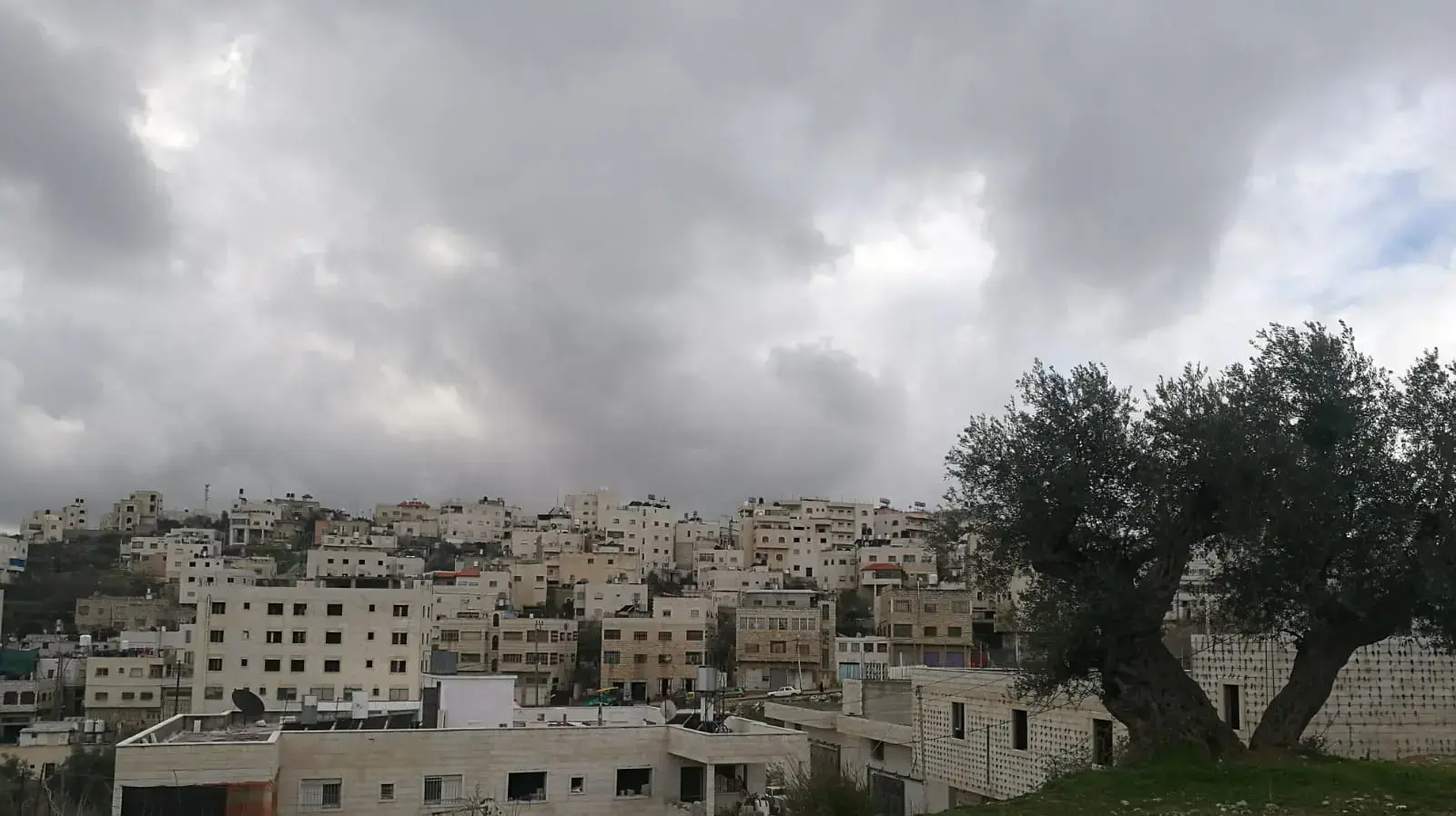 סיור בפאתי, אבו סנייה השכונה ממנה יצא החשוד ברצח אורי אנסבכר ז"ל סיור בפאתי, אבו סנייה השכונה ממנה יצא החשוד ברצח אורי אנסבכר ז"ל