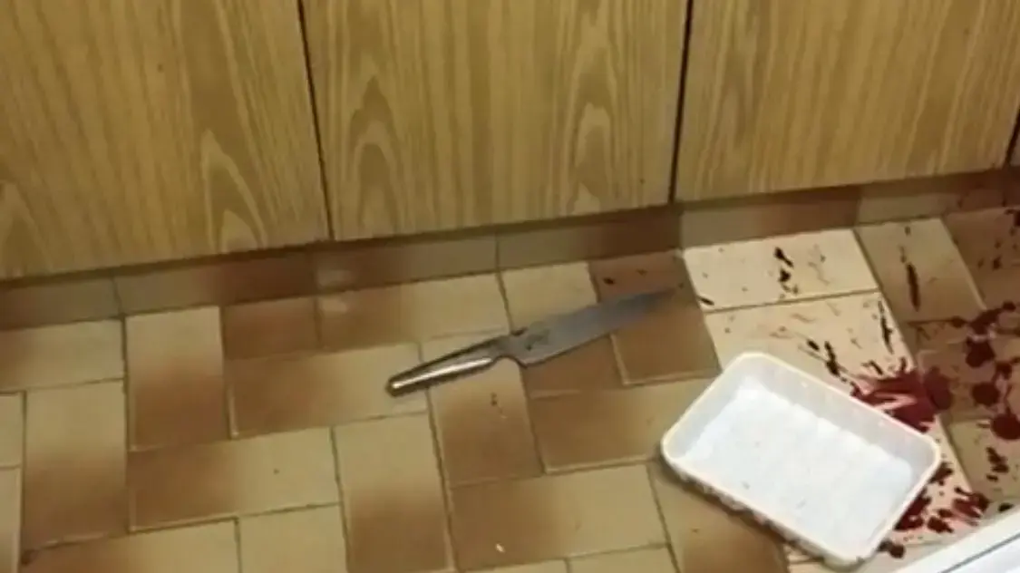הסכין שבעזרתה דקר החשוד באשדוד הסכין שבעזרתה דקר החשוד באשדוד