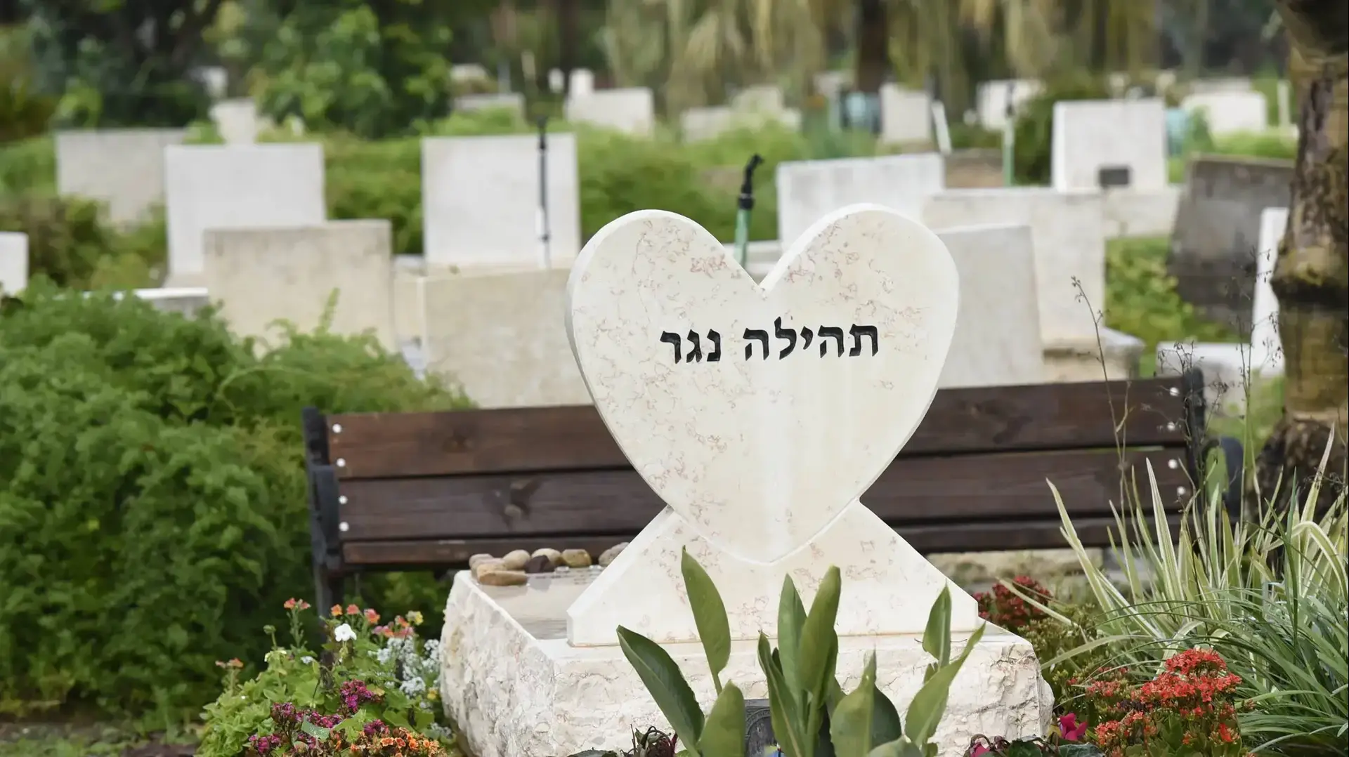 מקום קבורתה של תהילה נגר בקיבוץ גינוסר 17 בפברואר 2019 מקום קבורתה של תהילה נגר בקיבוץ גינוסר 17 בפברואר 2019