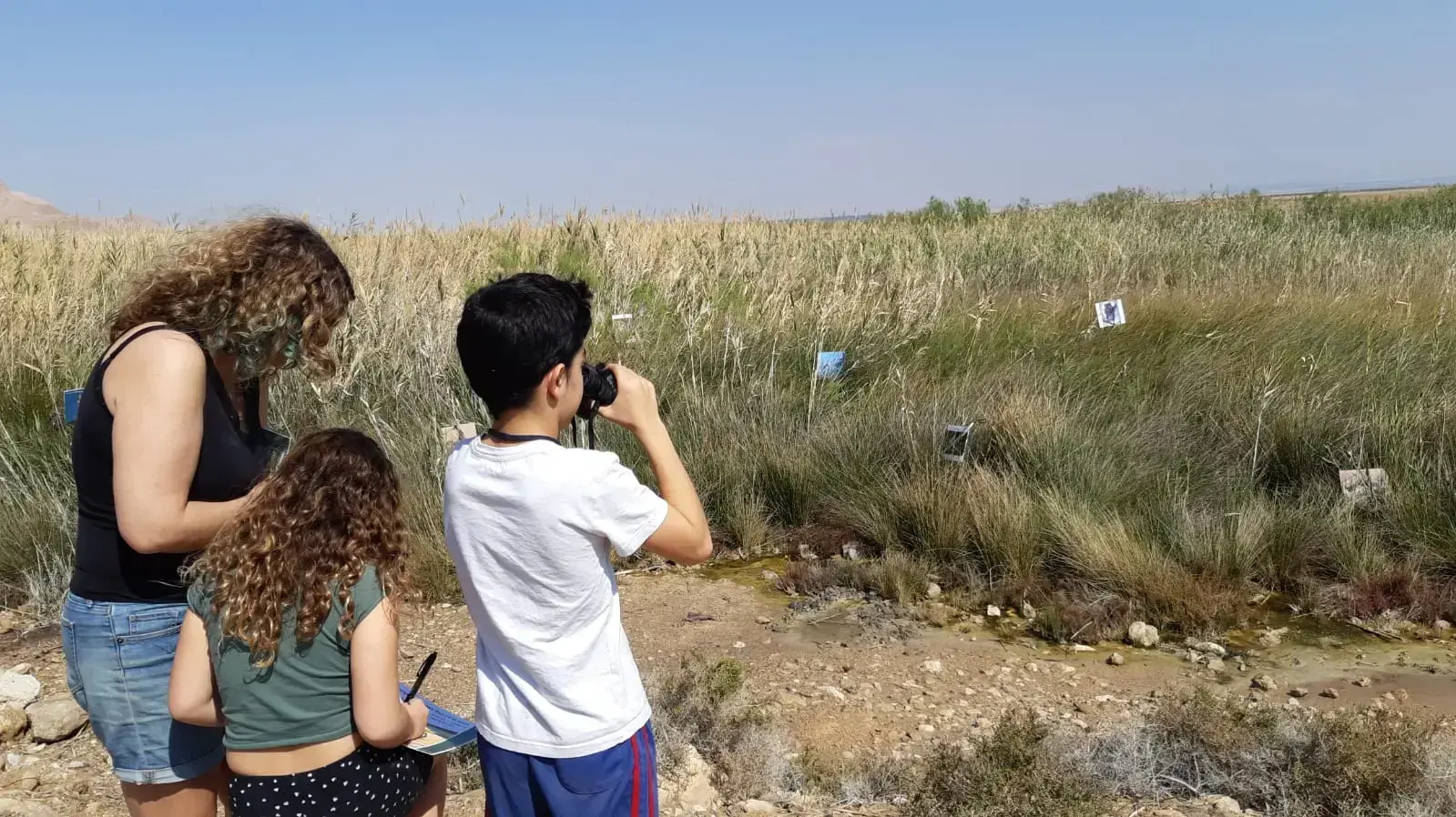 מטיילים, מזג אוויר, עינות צוקים מטיילים, מזג אוויר, עינות צוקים