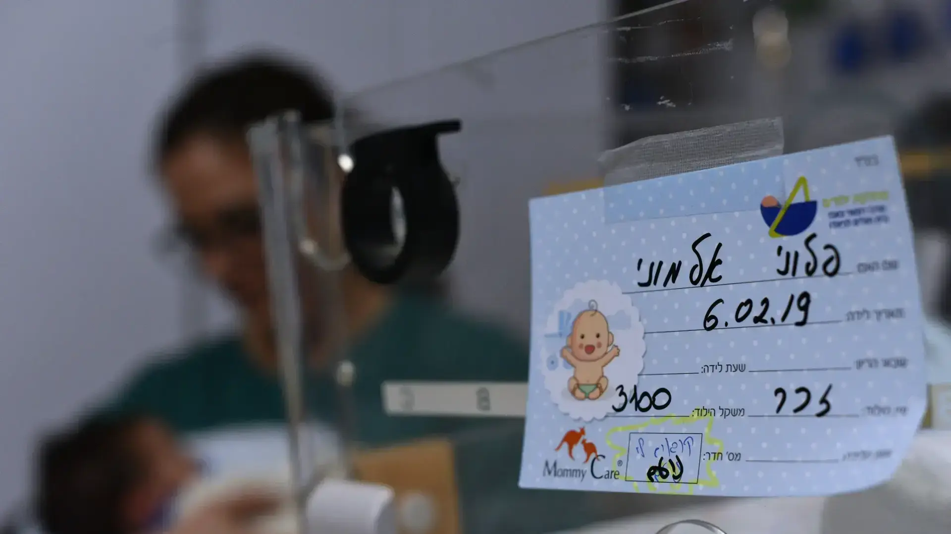 הפגייה במרכז הרפואי צאנז ע"ש לניאדו, נתניה, 26 בפברואר 2019