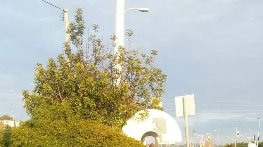 תושב כפר ורדים שהוכה קשות לאחר שלא אפשר לרכב אחר לחתוך אותו בכביש תושב כפר ורדים שהוכה קשות לאחר שלא אפשר לרכב אחר לחתוך אותו בכביש
