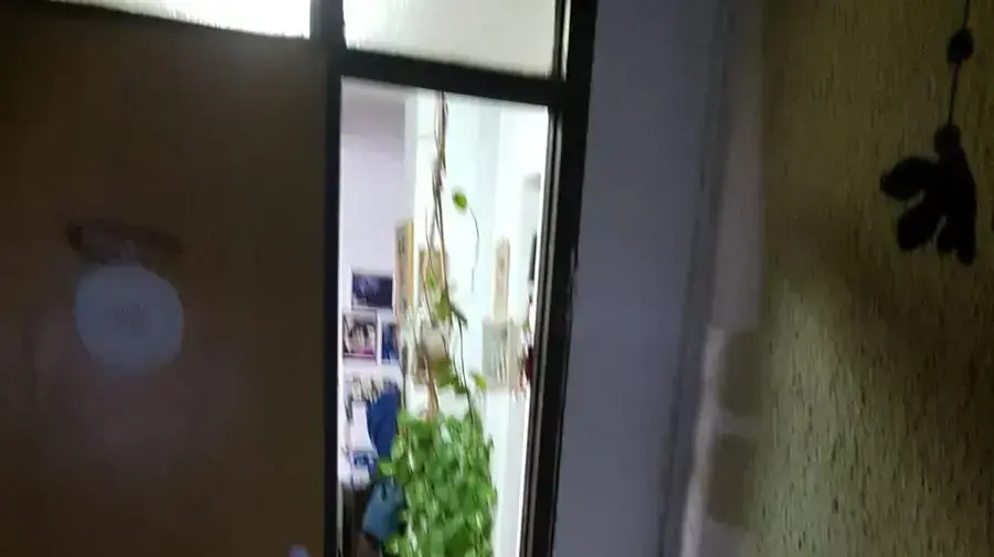 הבלון שהתפוצץ בבית באשכול הבלון שהתפוצץ בבית באשכול