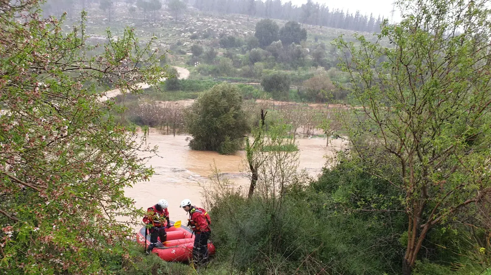 זירת חילוץ הלכודים בנחל בעמק הארזים 28 פברואר 2019 זירת חילוץ הלכודים בנחל בעמק הארזים 28 פברואר 2019