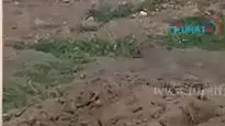 קבר אחים דאעש- גבול סוריה -עיראק