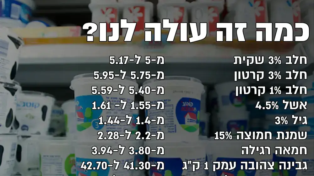 אינפו - מחירים אינפו - מחירים