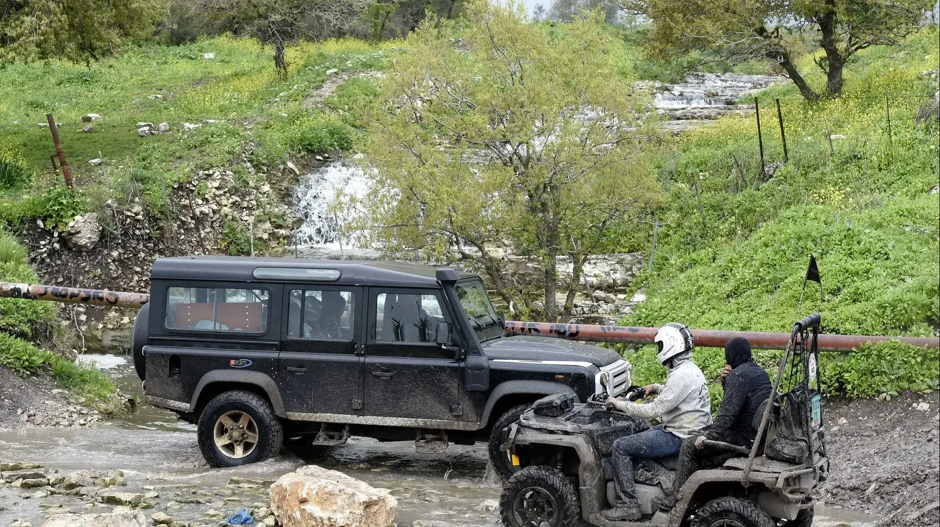 פריחת התורמוסים בהרי מנשה, 2 במרץ 2019 פריחת התורמוסים בהרי מנשה, 2 במרץ 2019