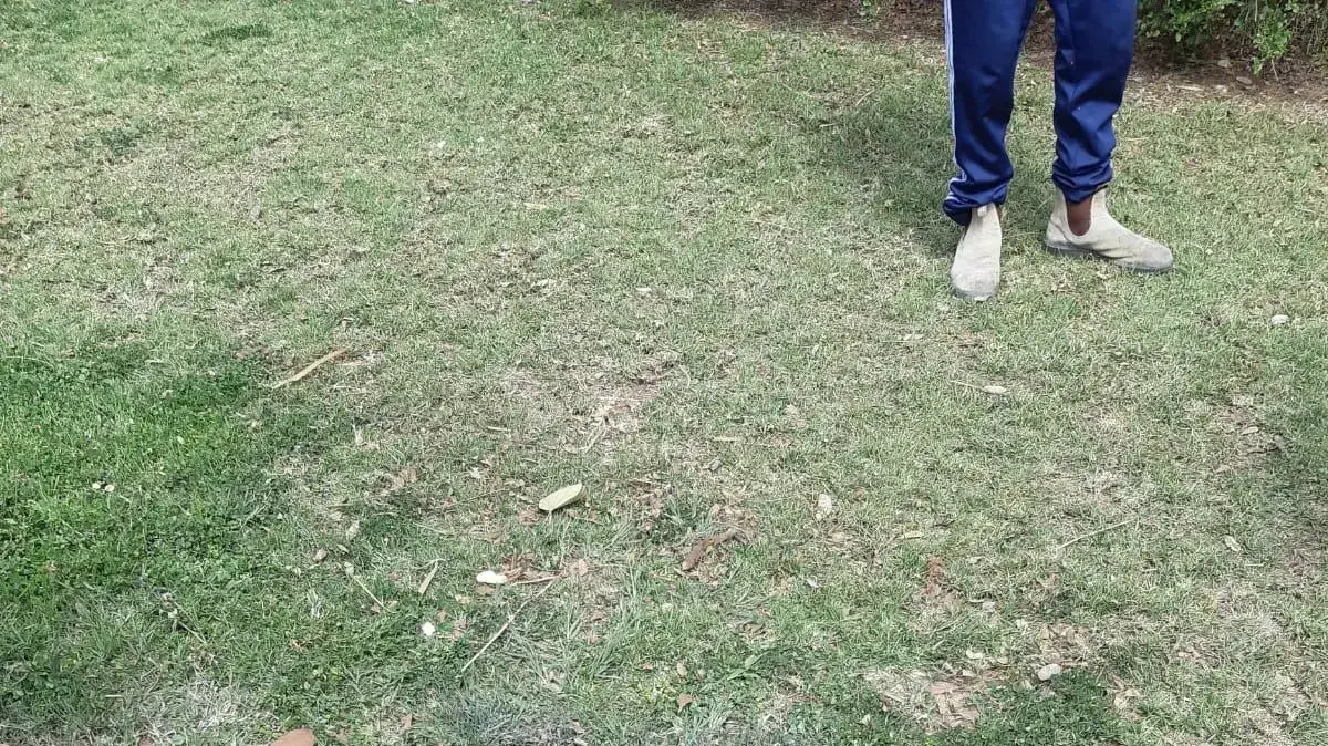 בלון נפץ התפוצץ בין שני מבנים בתוך ישוב באשכול. 4 במרץ 2019 בלון נפץ התפוצץ בין שני מבנים בתוך ישוב באשכול. 4 במרץ 2019