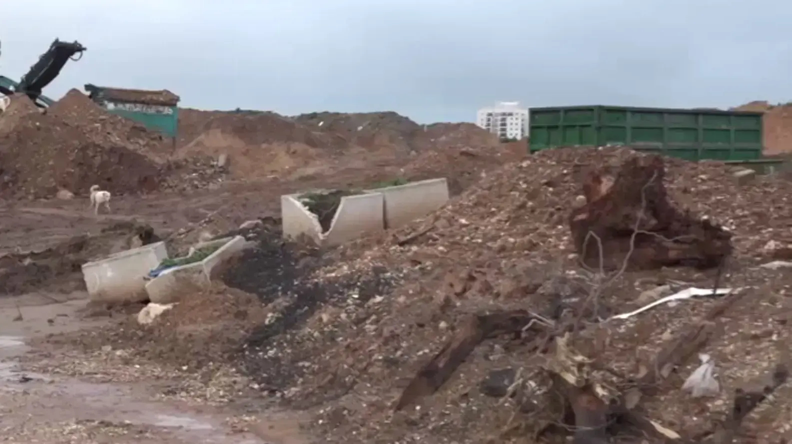 שבעה חשודים נעצרו בחשד להטמנת פסולת בניגוד לחוק על אדמות מדינה