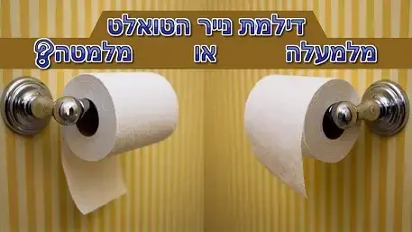 דילמת נייר הטואלט דילמת נייר הטואלט