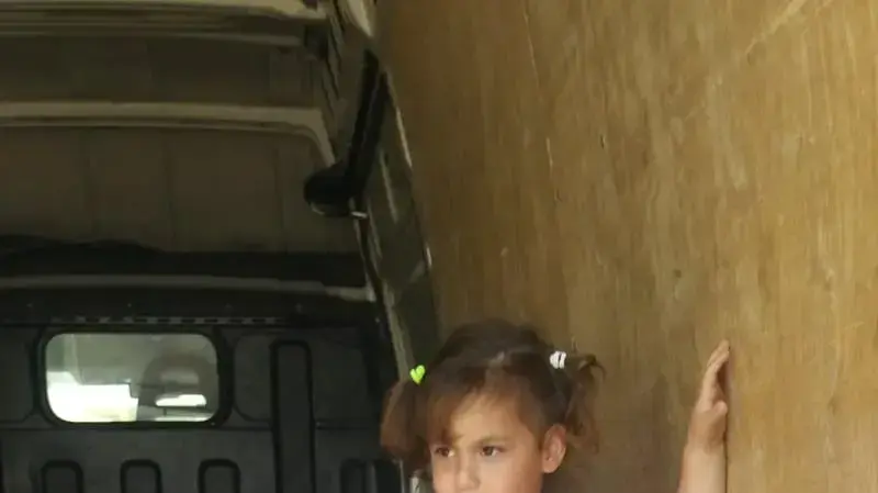 משי באביס משי באביס
