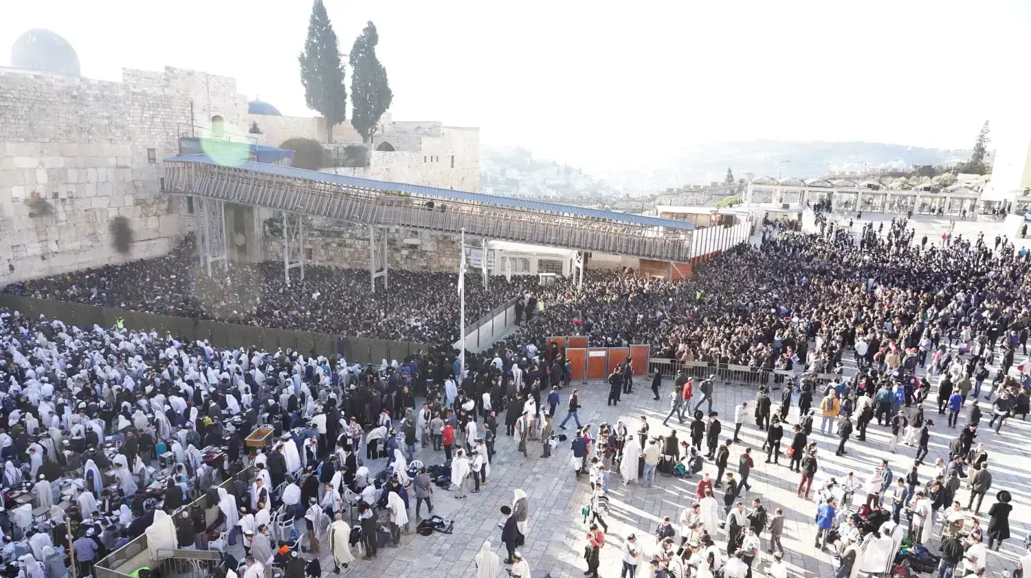 נשות הכותל, חרדים, תפילת בוקר 8 מרץ 2019 נשות הכותל, חרדים, תפילת בוקר 8 מרץ 2019