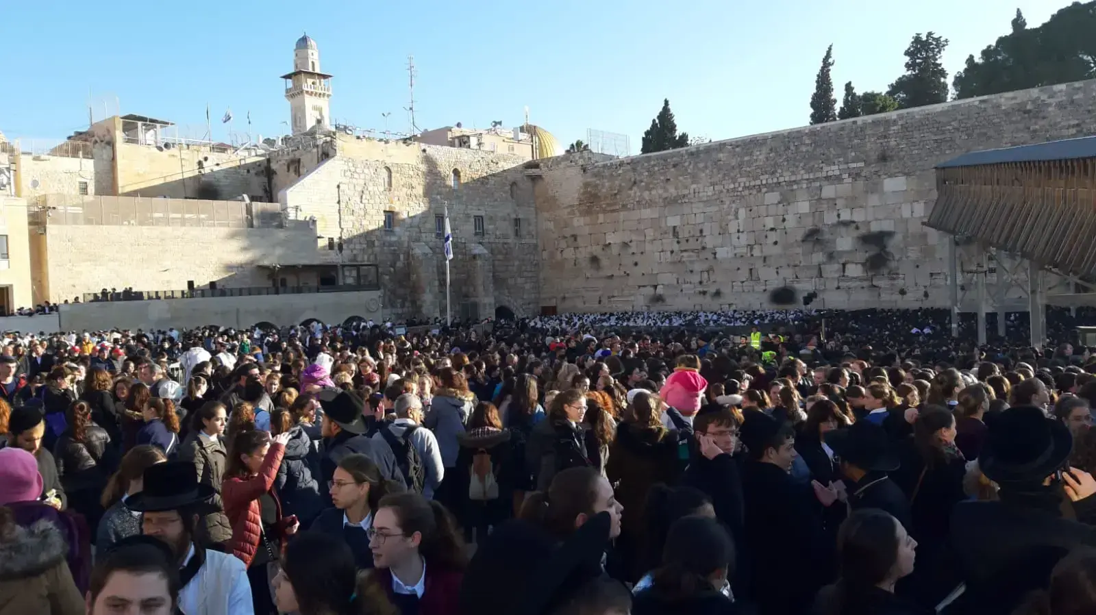 נשות הכותל, חרדים, תפילת בוקר 8 מרץ 2019 נשות הכותל, חרדים, תפילת בוקר 8 מרץ 2019