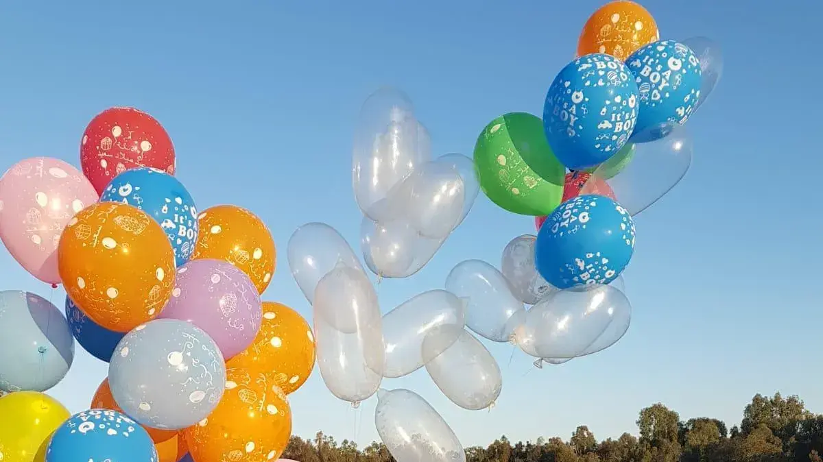 בלוני תבערה שנחתו במועצה האזורית אשכול - 8 מרץ 2019 בלוני תבערה שנחתו במועצה האזורית אשכול - 8 מרץ 2019