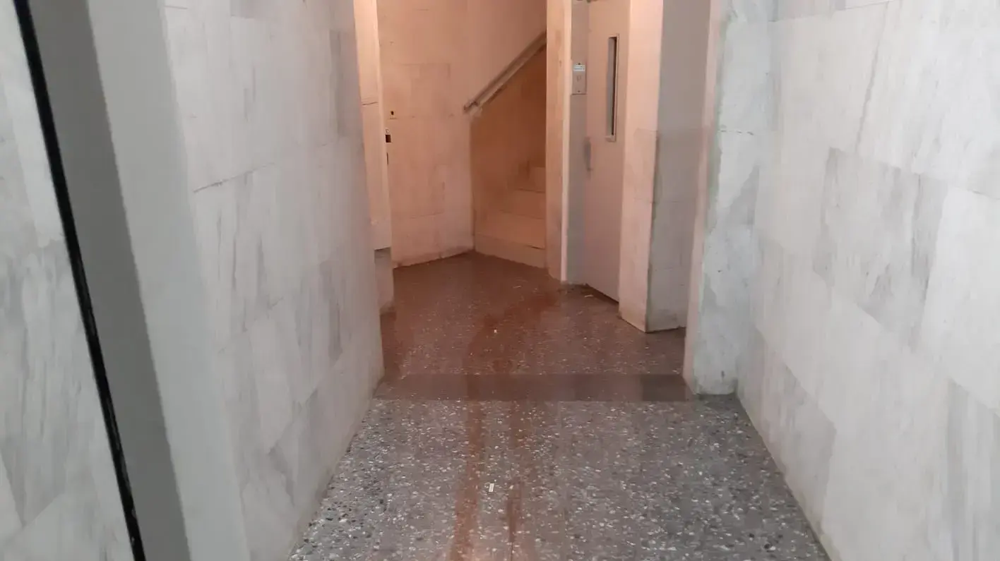 הדם ביציאה מהמעלית ובכניסה לבניין ברחובות 9 בפברואר 2019 הדם ביציאה מהמעלית ובכניסה לבניין ברחובות 9 בפברואר 2019