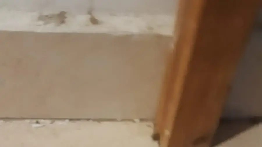 קליע שנורה בצפון רצועת עזה ואותר בבית בנתיב העשרה 9 במרץ 2019 קליע שנורה בצפון רצועת עזה ואותר בבית בנתיב העשרה 9 במרץ 2019