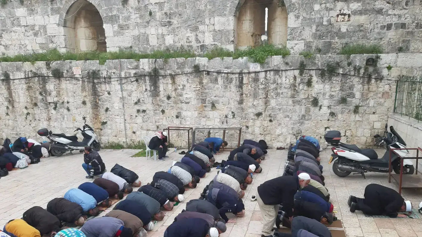 תפילה בהר הבית 12 במרץ 2019 תפילה בהר הבית 12 במרץ 2019