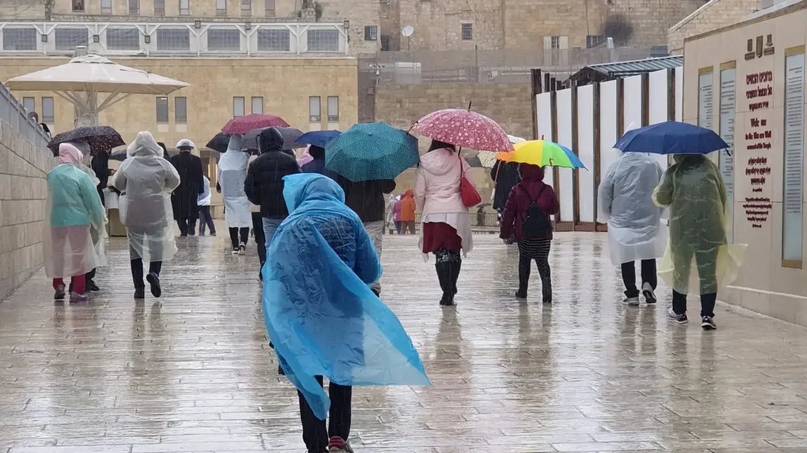 מתפללים בכותל מתפללים בכותל