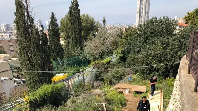 הוסטל עברייני מין בטירת כרמל הוסטל עברייני מין בטירת כרמל