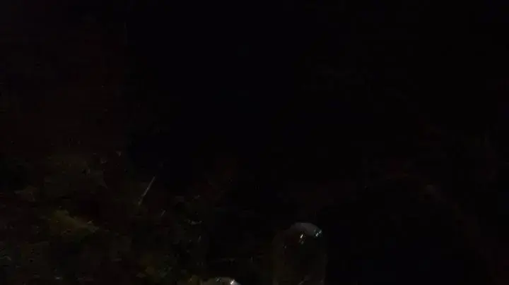 מפריחי בלוני נפץ בעזה שאולי נחתו בשער הנגב, 24 מרץ, 2019 מפריחי בלוני נפץ בעזה שאולי נחתו בשער הנגב, 24 מרץ, 2019