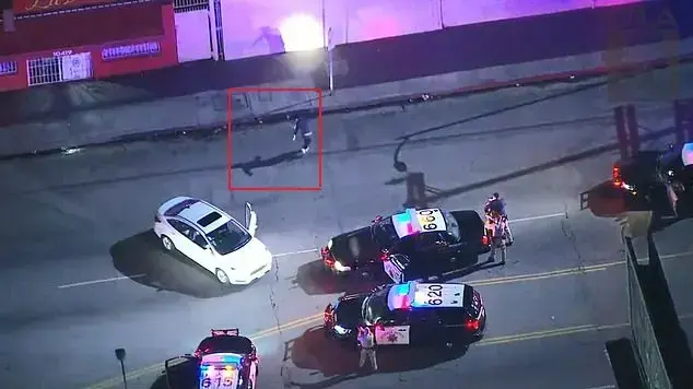 חשוד החל לרקוד בסוף מרדף משטרתי חשוד החל לרקוד בסוף מרדף משטרתי