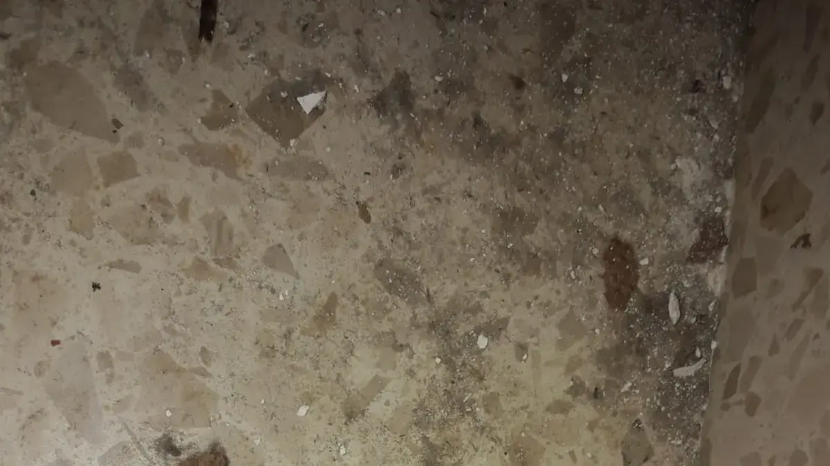 נזקי הקליע שפגע במבנה מגורים בבית אל וגרם לפציעתו של יד בן 9 26 במרץ 2019 נזקי הקליע שפגע במבנה מגורים בבית אל וגרם לפציעתו של יד בן 9 26 במרץ 2019