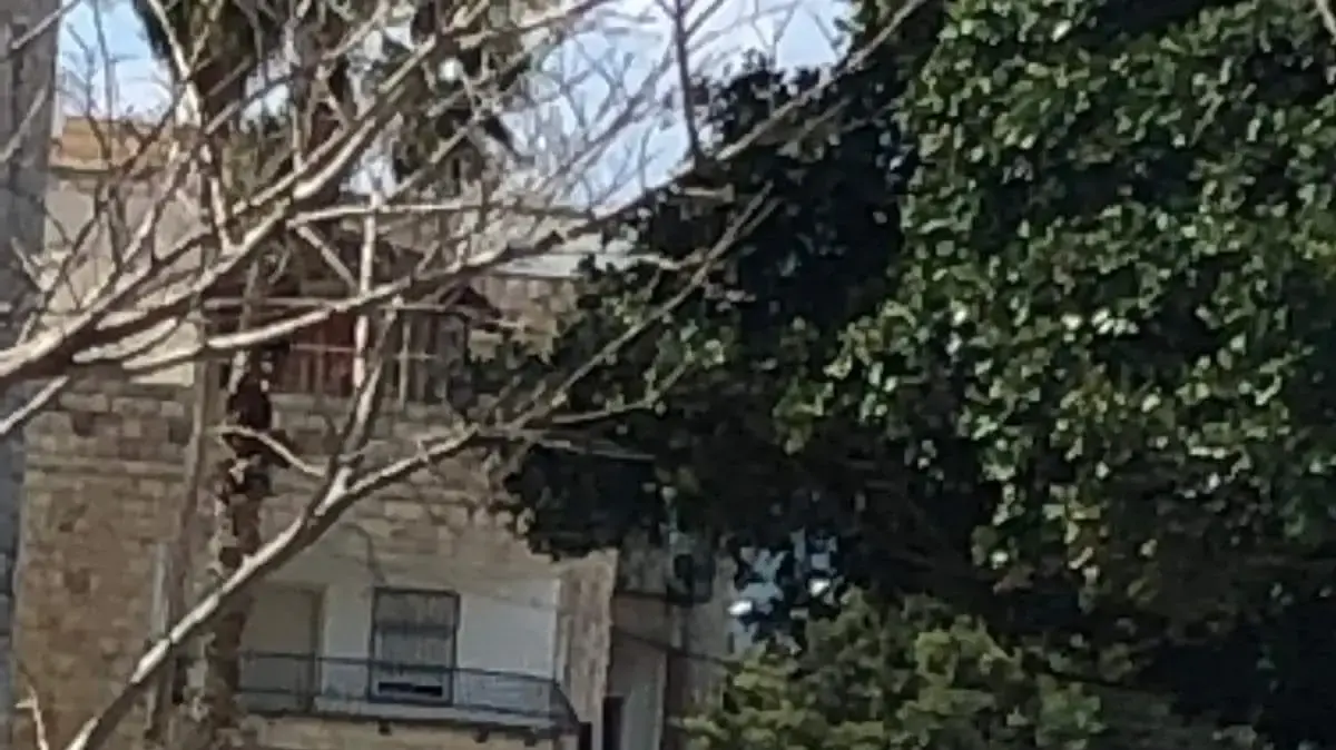 גבר צעיר נפצע קל מירי ברחוב בחיפה, 27 במרץ 2019 גבר צעיר נפצע קל מירי ברחוב בחיפה, 27 במרץ 2019