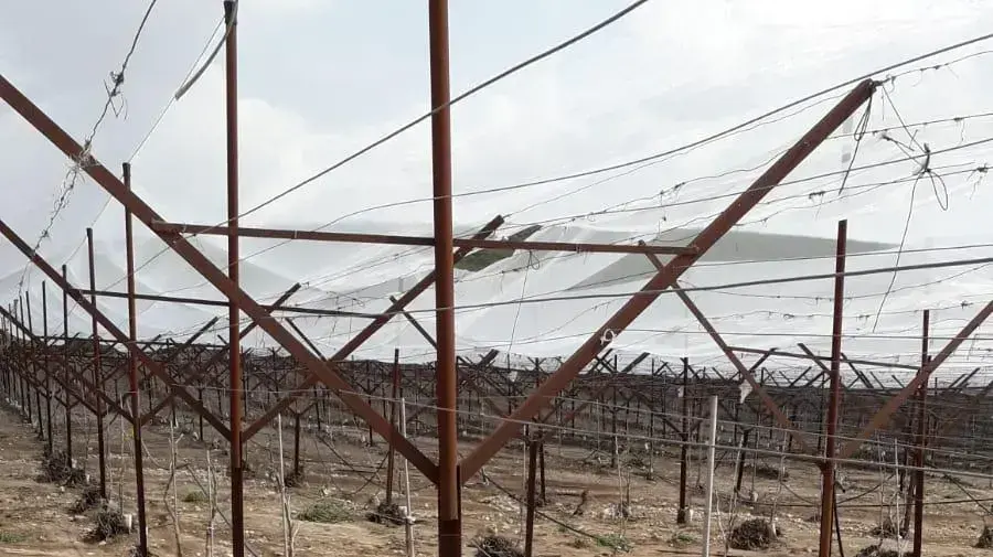 צרור בלוני תבערה במועצה אזורית לכיש 27 במרץ 2019 צרור בלוני תבערה במועצה אזורית לכיש 27 במרץ 2019