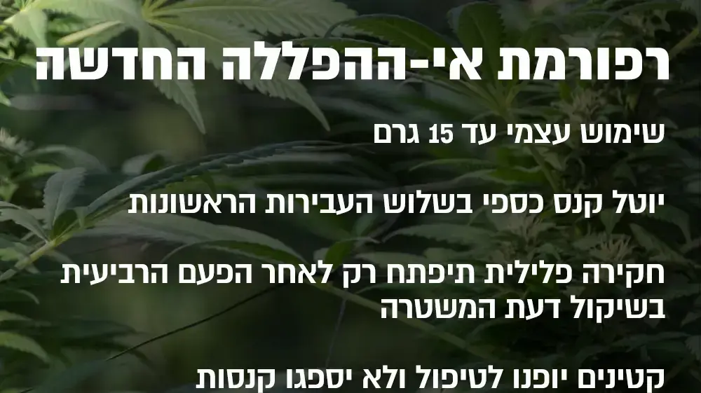 אינפו סמים אינפו סמים